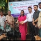 কাপ্তাইয়ে নিবন্ধিত মৎস্যজীবিদের মাঝে ছাগল বিতরণ