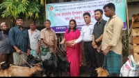 কাপ্তাইয়ে নিবন্ধিত মৎস্যজীবিদের মাঝে ছাগল বিতরণ