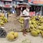 ফটিকছড়ির কাঁঠালের কদর সারাদেশে