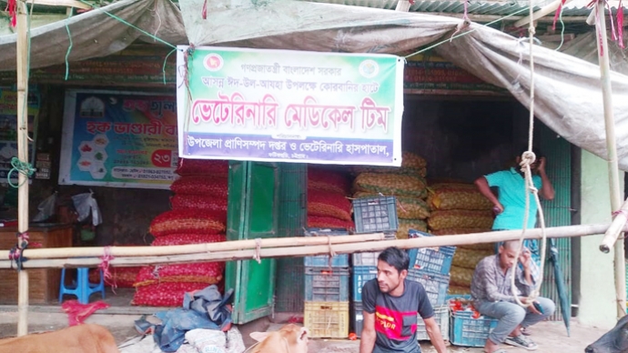 ফটিকছড়িতে পশুরহাটে প্রাণিসম্পদ কার্যালয়ের সেবা : পশুর স্বাস্থ্যসেবার বালাই নেই