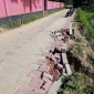আত্রাইয়ে নির্মাণ কাজ শেষ না হতেই সড়কে ধস