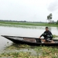 আত্রাই নদীর পানি বৃদ্ধি : কৃষকের কপালে চিন্তার ভাঁজ
