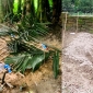 কীটনাশক পানে ঈশ্বরগঞ্জে দুই শিশুর মৃত্যু