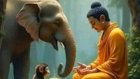 মধু পুণিমা গৌতম বুদ্ধের ঐতিহাসিক ঘটনা
