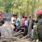 পাবর্তীপুরে বনবিভাগের গাছ কাটলেন আওয়ামী নেতা