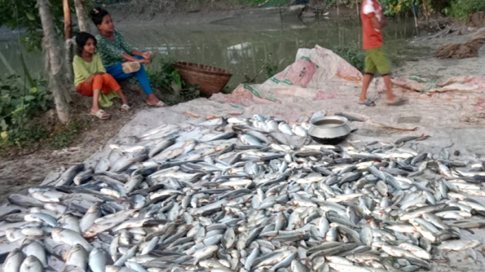 ভাতিজাকে শাসন করায় চাচার ক্ষতি ১০ লাখ