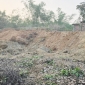 নবীগঞ্জে পাহাড় কাটার দায়ে ৫০ হাজার টাকা অর্থদণ্ড