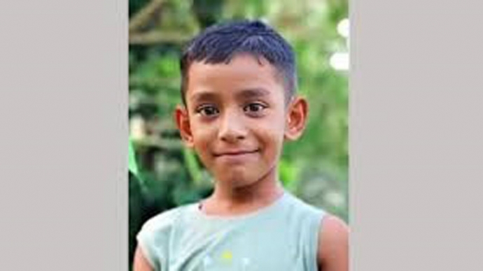 মিরসরাইয়ে আমপাড়ার সময় পেটে রড ঢুকে মাদরাসা শিক্ষার্থী’র মৃত্যু