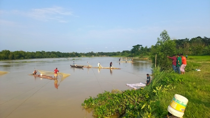 হালদা নদীতে ডিম ছেড়েছে মা মাছ
