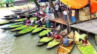 ভাসমান পেয়ারা হাটে উচ্চ শব্দে গান : জনভোগান্তি